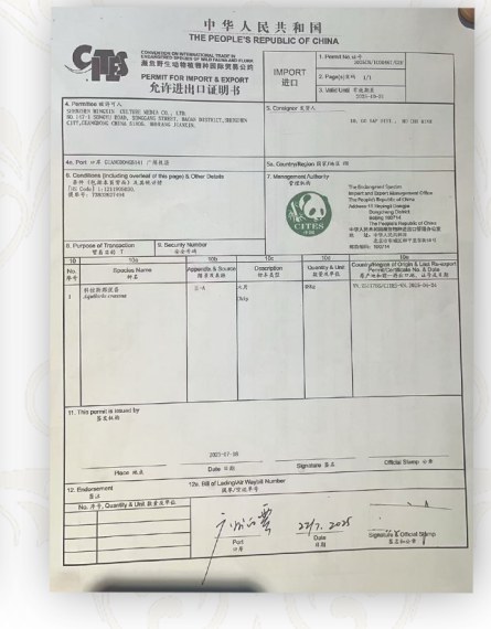 中国 CITES 允许进出口证明书